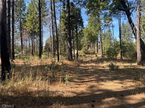 13477 Cirby Creek Road, Oroville, CA 95965