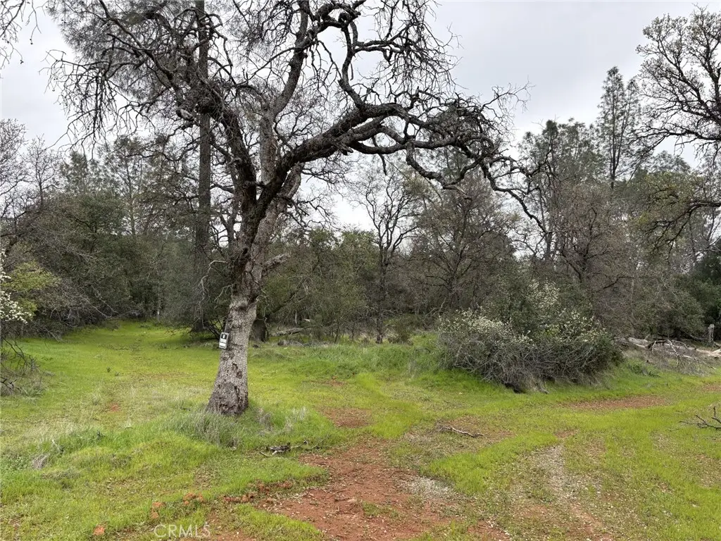 0 Highlands Boulevard, Oroville, CA 95966 - #1