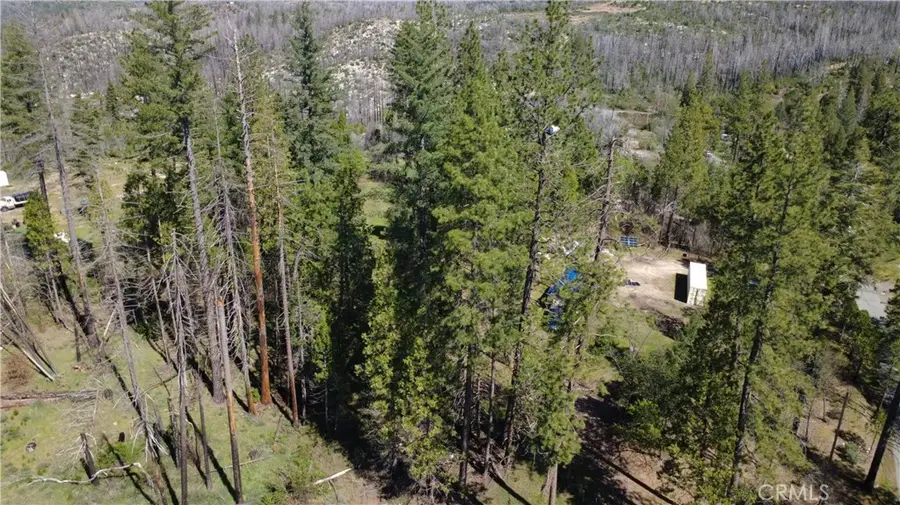 6 Sugar Pine, Berry Creek, CA 95916 - #3