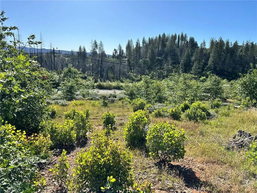 0 Katella, Berry Creek, CA 95966 - #1