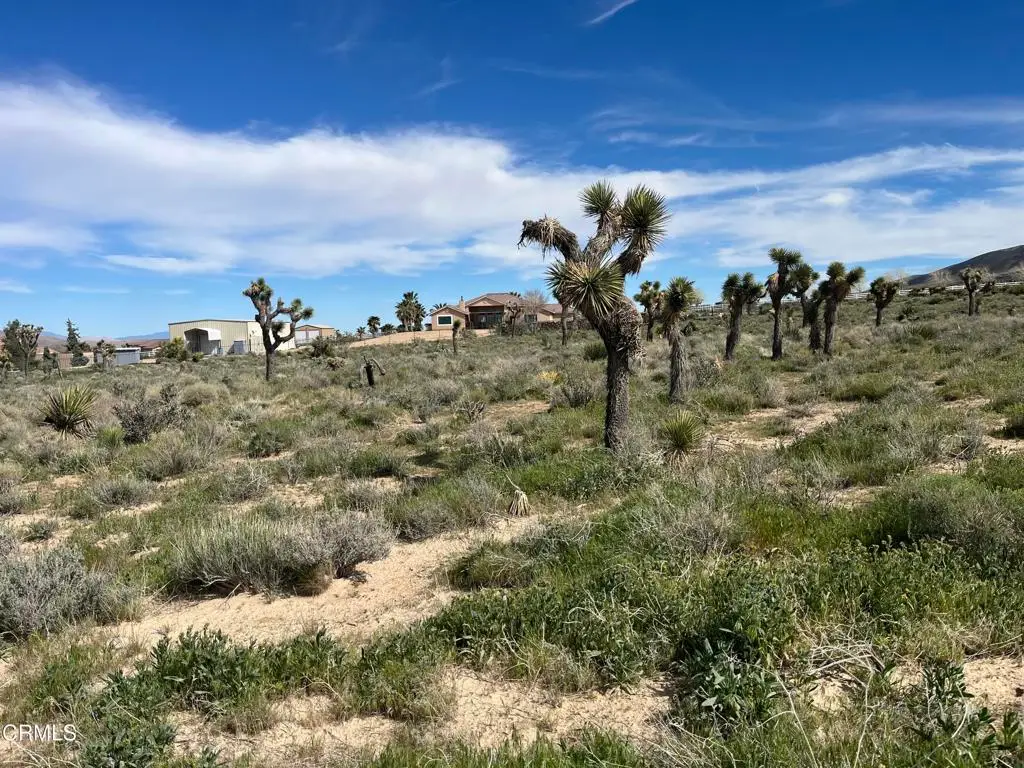 0 Bowen Ranch Road, Apple Valley, CA 92308 - #1