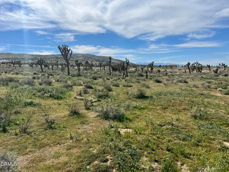 0 Bowen Ranch Road, Apple Valley, CA 92308 - #3