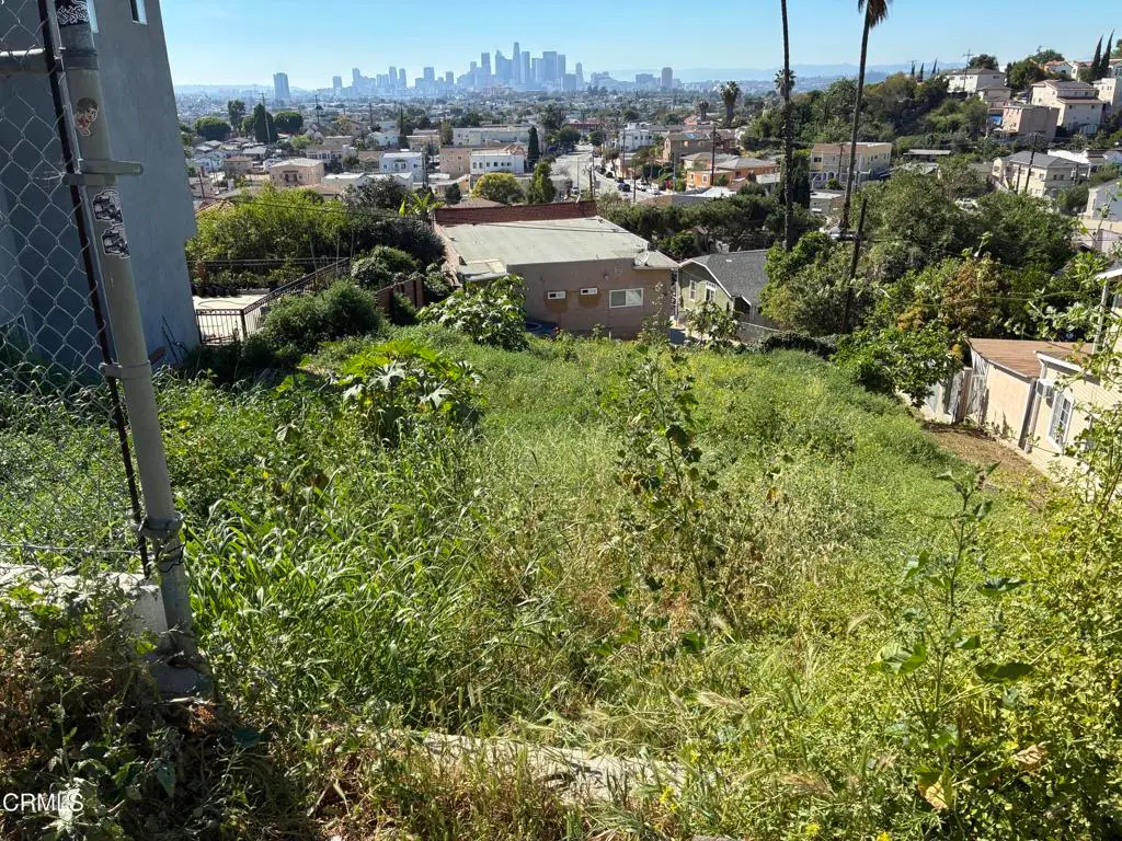 1031 N Rowan Avenue, Los Angeles, CA 90063 - #1