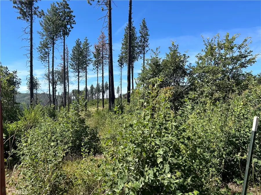 3520 Hoffman Road, Oroville, CA 95965 - #3