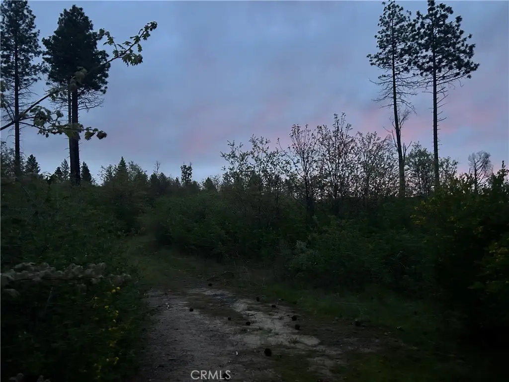 1 Hog Ranch Road, Concow, CA 95965 - #1