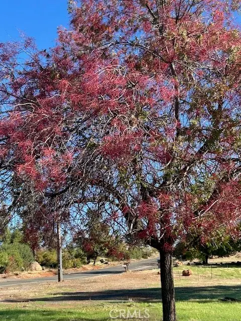 3898 Neal, Paradise, CA 95969 - Image #1