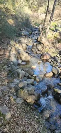 13566 Helltown, Chico, CA 95928