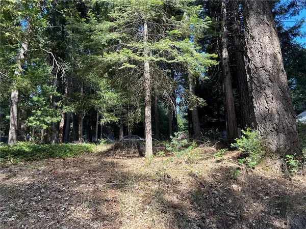 0 Bridgeport, Magalia, CA 95954