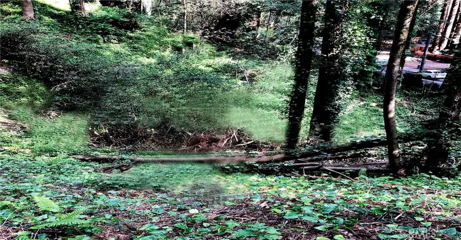 18176 Hwy 116, Guerneville, CA 95446 - Image #2