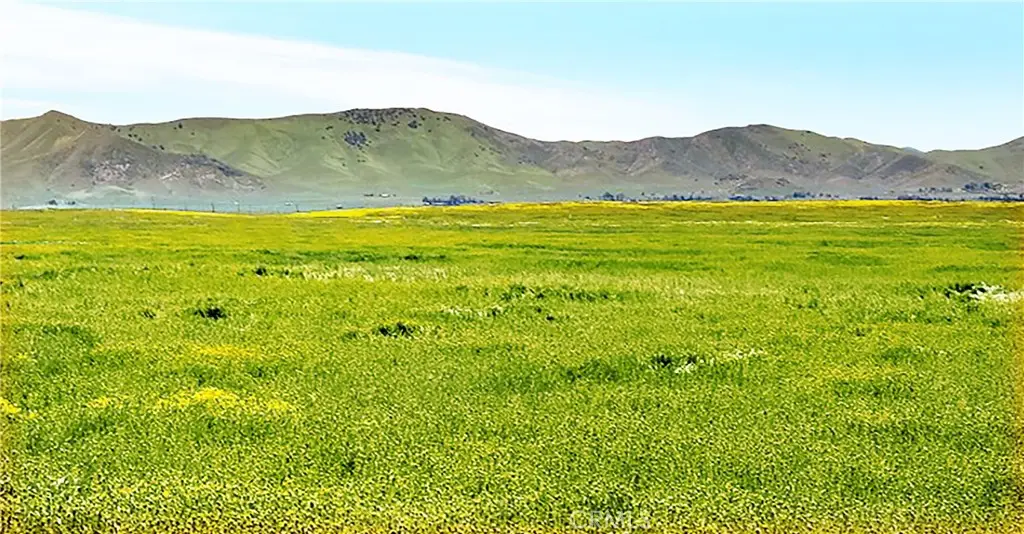 13075 Calimesa Trail, Santa Margarita, CA 93453 - #1