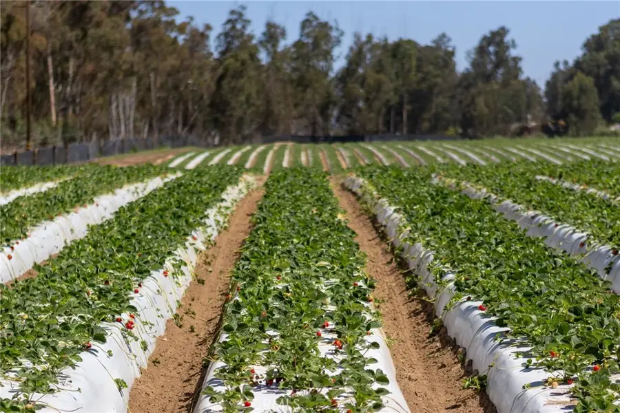 0 Indiana Way, Nipomo, CA 93444 - #3