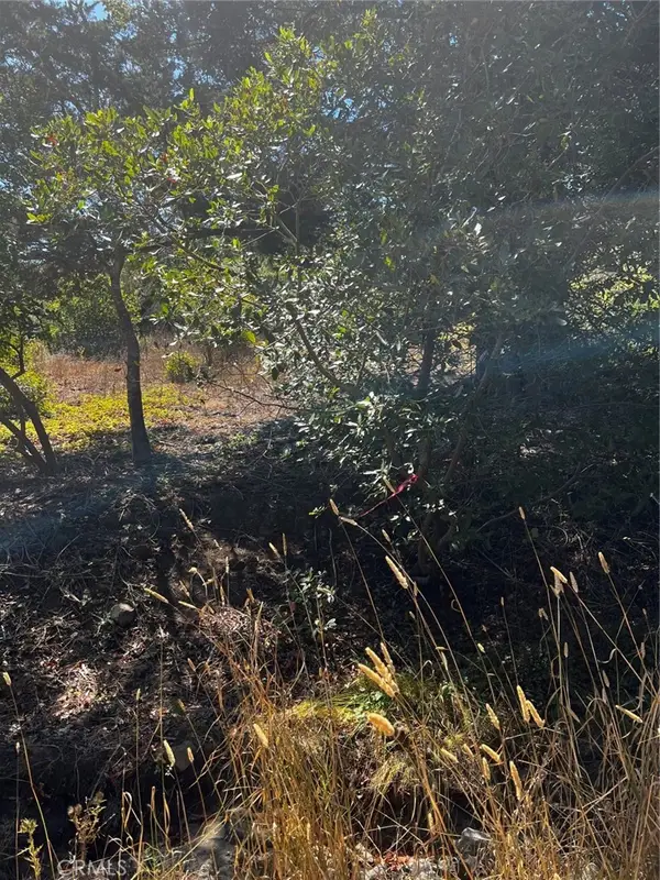 3236 Gleason Street, Cambria, CA 93428