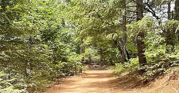 15052 Red Hill Spring Road, Nevada City, CA 95959