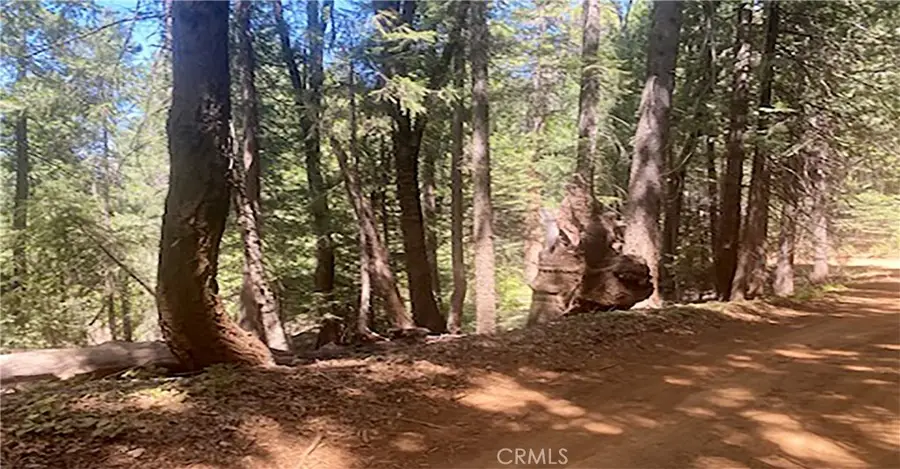 15052 Red Hill Spring Road, Nevada City, CA 95959 - Image #2