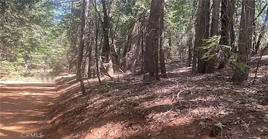 15052 Red Hill Spring Road, Nevada City, CA 95959 - Image #3