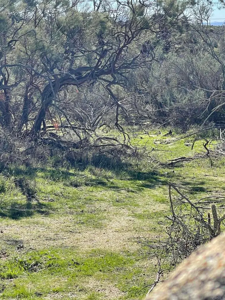 22 acres Tierra Del Sol Rd, Boulevard, CA 91905 - #2