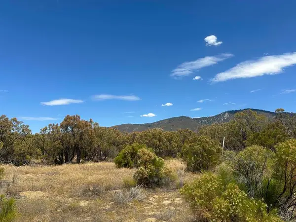 54174 Mdw Vly Lane, Anza, CA 92539