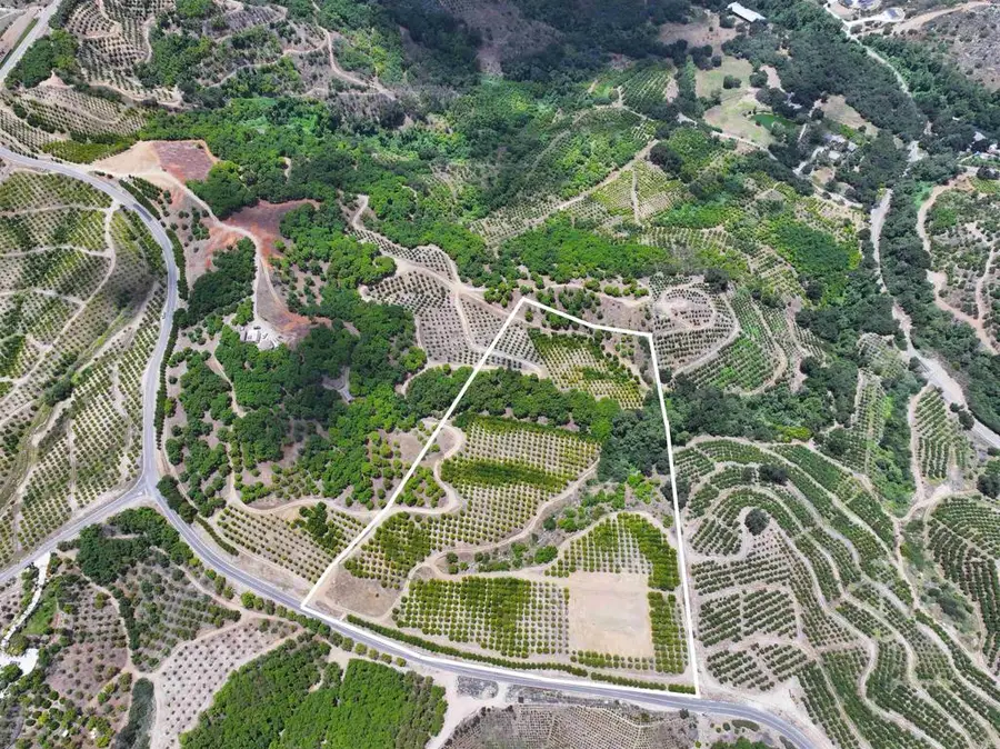 45481 Camaron Road, Temecula, CA 92590 - #3