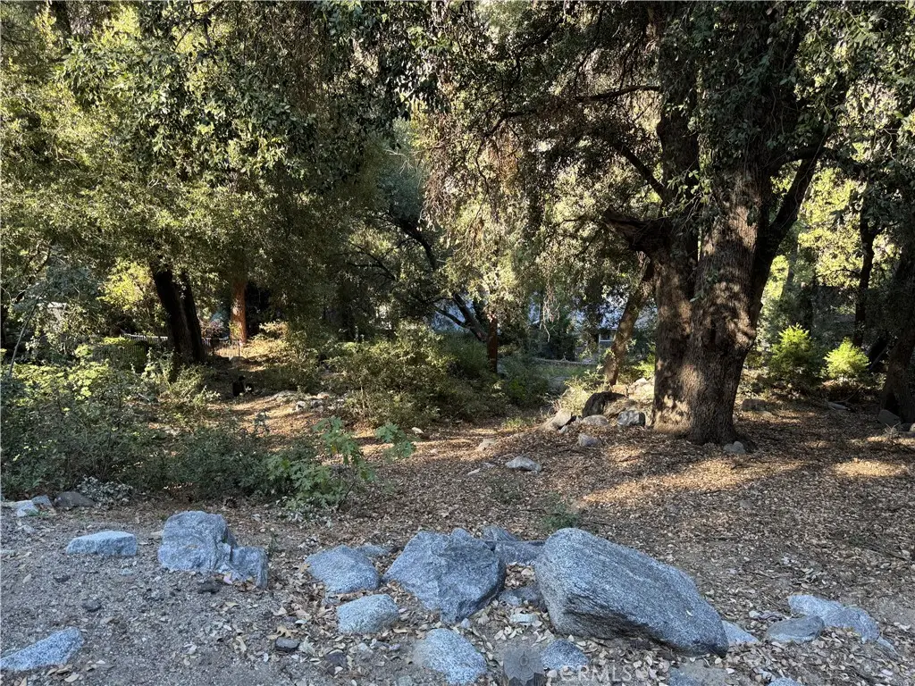 39480 Prospect Drive, Forest Falls, CA 92339 - Image #1