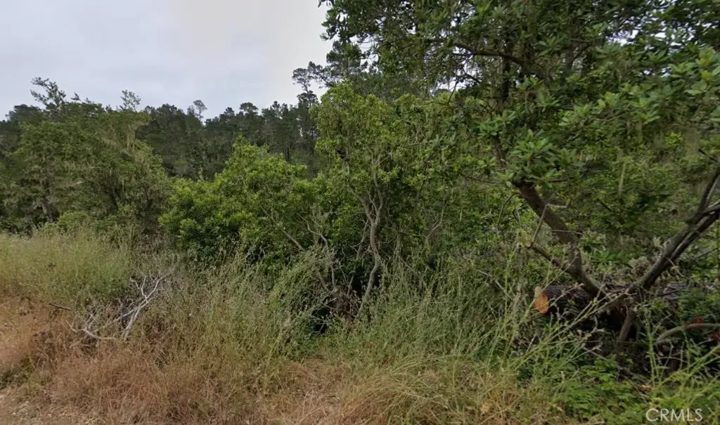 2977 Ramsey Street, Cambria, CA 93428 - Image #1