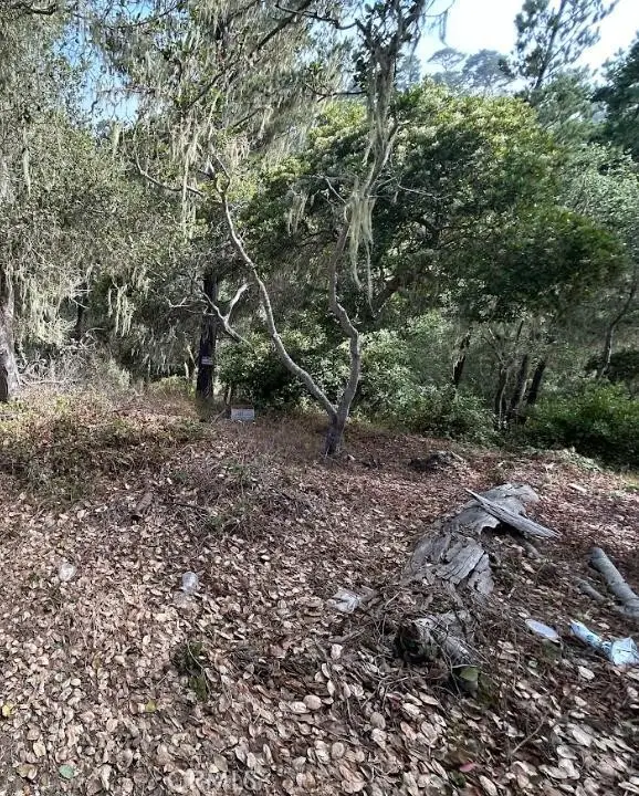 2977 Ramsey Street, Cambria, CA 93428 - Image #3