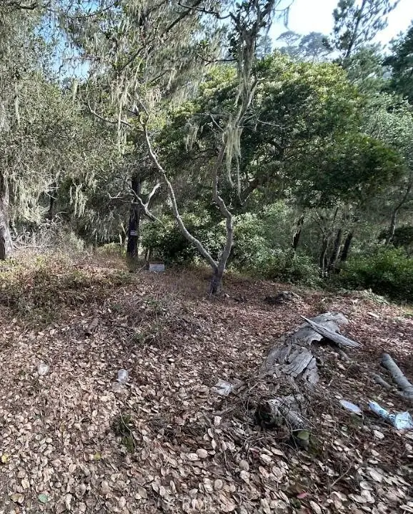 2812 Ramsey Road, Cambria, CA 93428 - Image #1