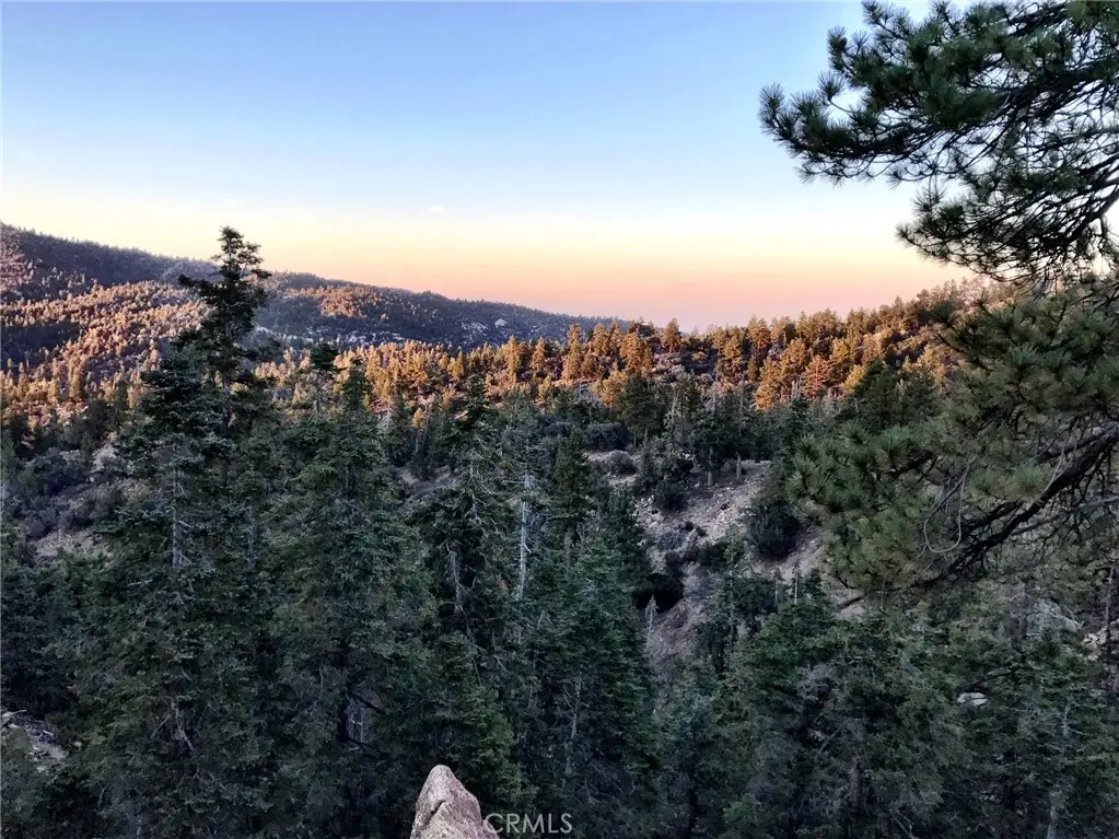 0 Rainbow Lane, Angelus Oaks, CA 92305 - Image #1