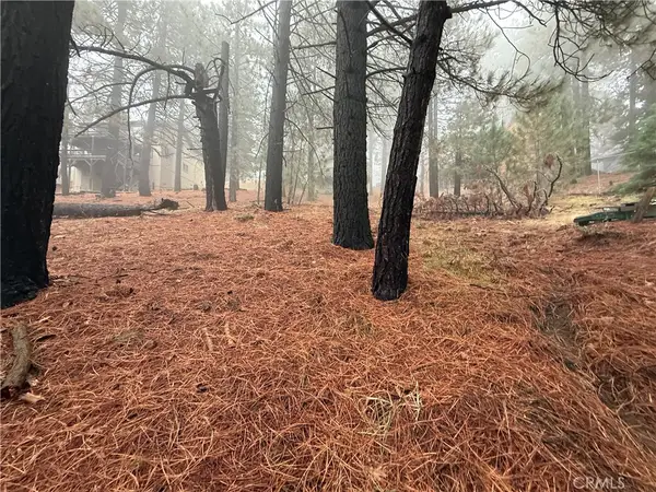 0 Poplar, Running Springs, CA 92382