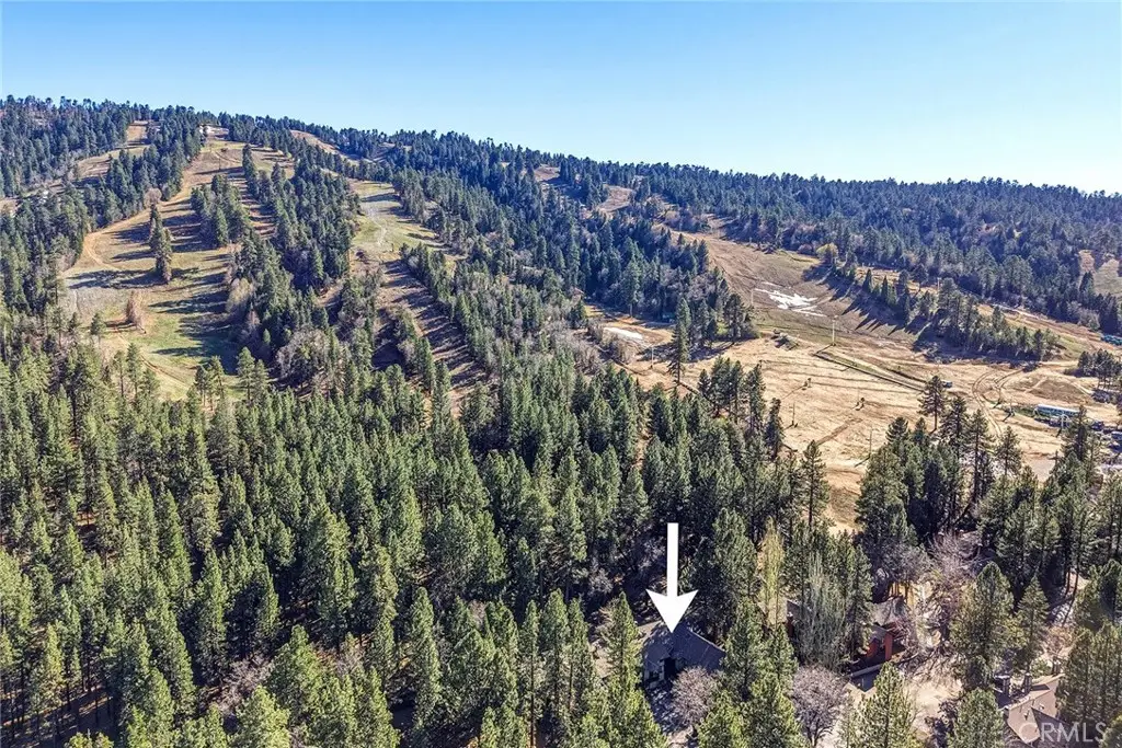 41935 Switzerland, Big Bear Lake, CA 92315 - #1