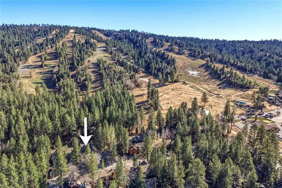 41935 Switzerland, Big Bear Lake, CA 92315 - #2