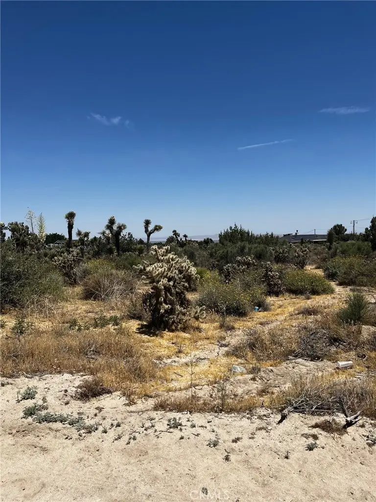 0 No Name, Phelan, CA 92371 - #1