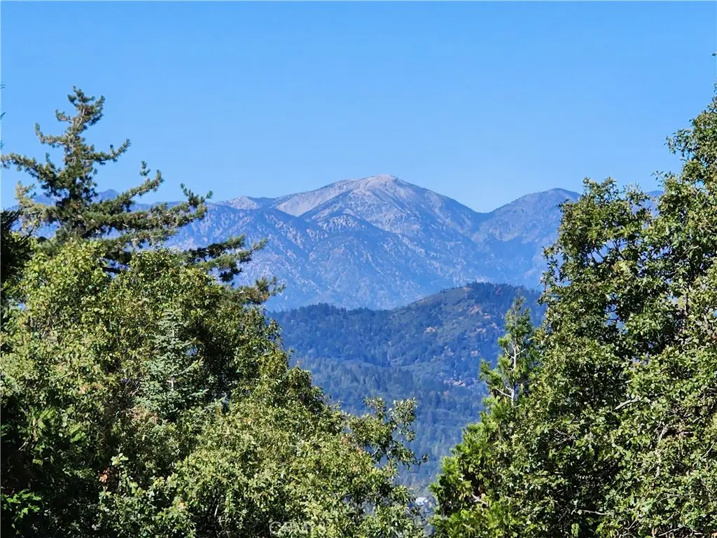 0 North Road, Twin Peaks, CA 92391 - Image #1