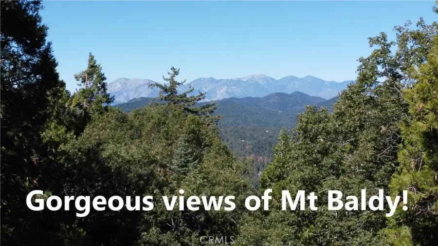 0 North Road, Twin Peaks, CA 92391 - Image #3