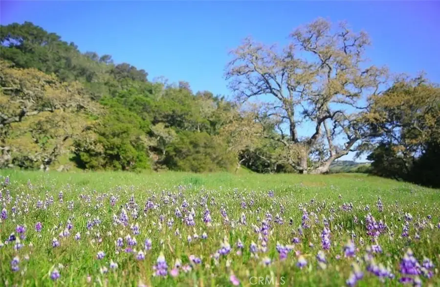 0 Old Creek Road, Cayucos, CA 93430 - Image #3