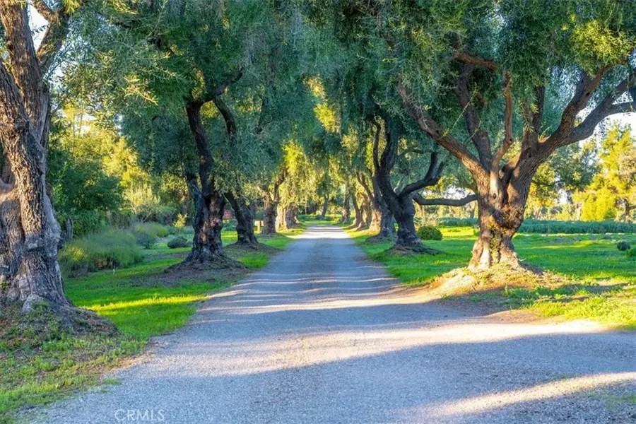 2480 Roblar Avenue, Los Olivos, CA 93441 - #3