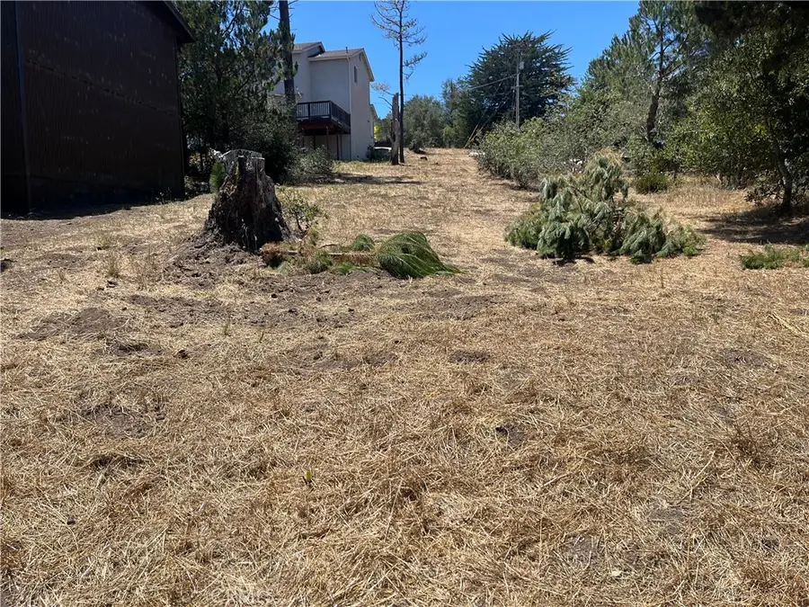 1590 Spencer, Cambria, CA 93428 - #3