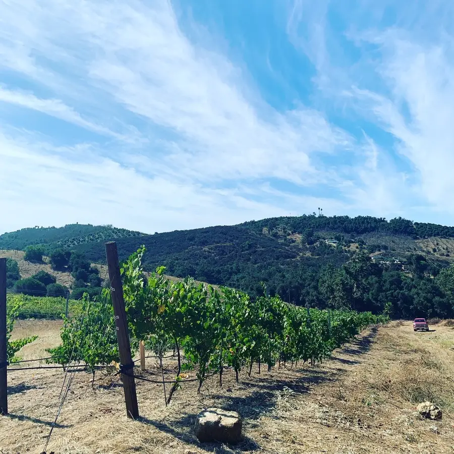 12028 Keys Creek, Valley Center, CA 92082 - #2