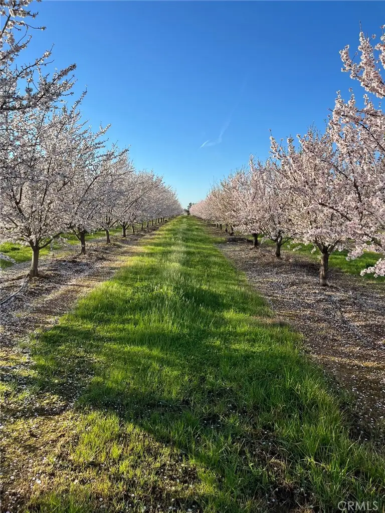 22085 Finnell, Corning, CA 96021 - #3