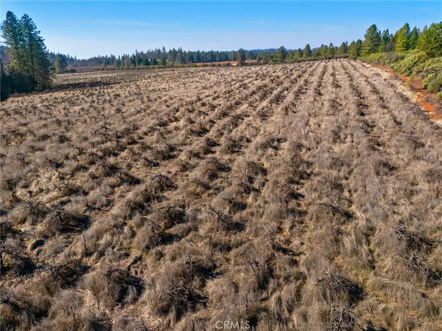 0 Doe Mill Road, Forest Ranch, CA 95942 - #3