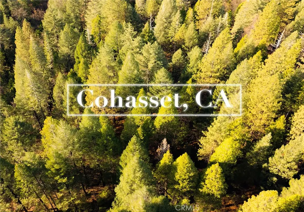 10 Roz Ln, Cohasset, CA 95973 - #1