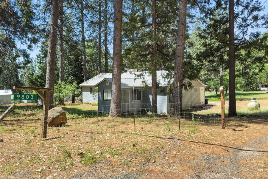 9803 Cohasset Road, Cohasset, CA 95973 - #2