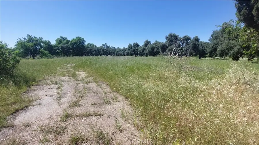 2915 S 99w, Corning, CA 96021 - #3