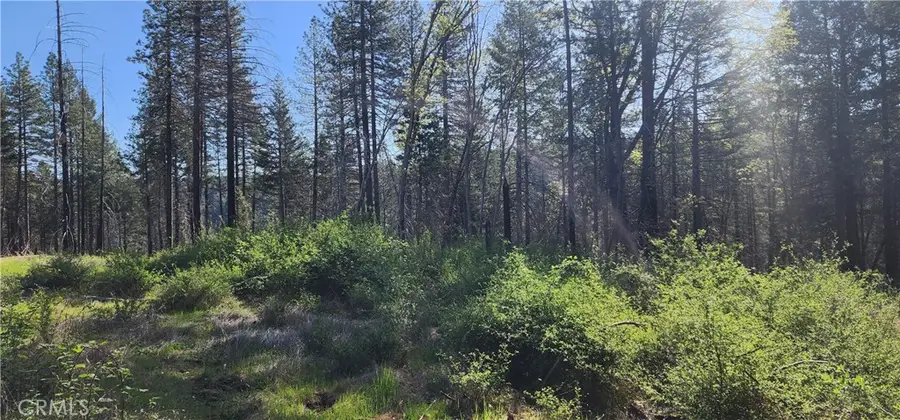 0 Goldcone, Magalia, CA 95954 - Image #2