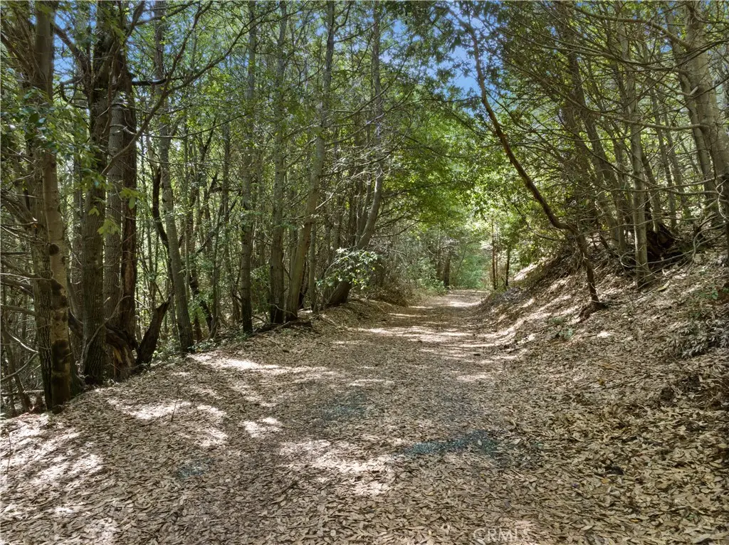 63 Binet Road, Clipper Mills, CA 95930 - #1