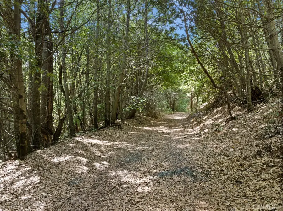 63 Binet Road, Clipper Mills, CA 95930 - #3