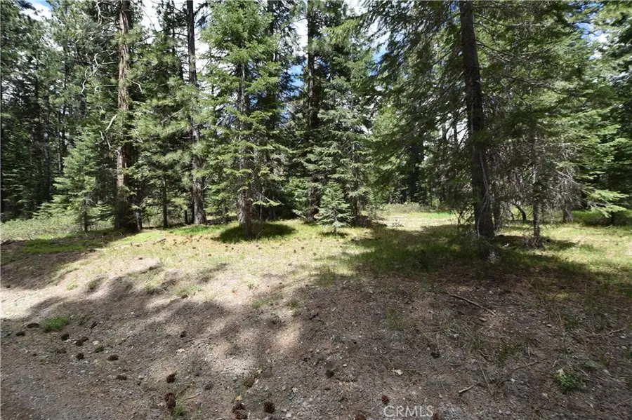 0 Fumarole Ct Court, McCloud, CA 96057 - Image #2