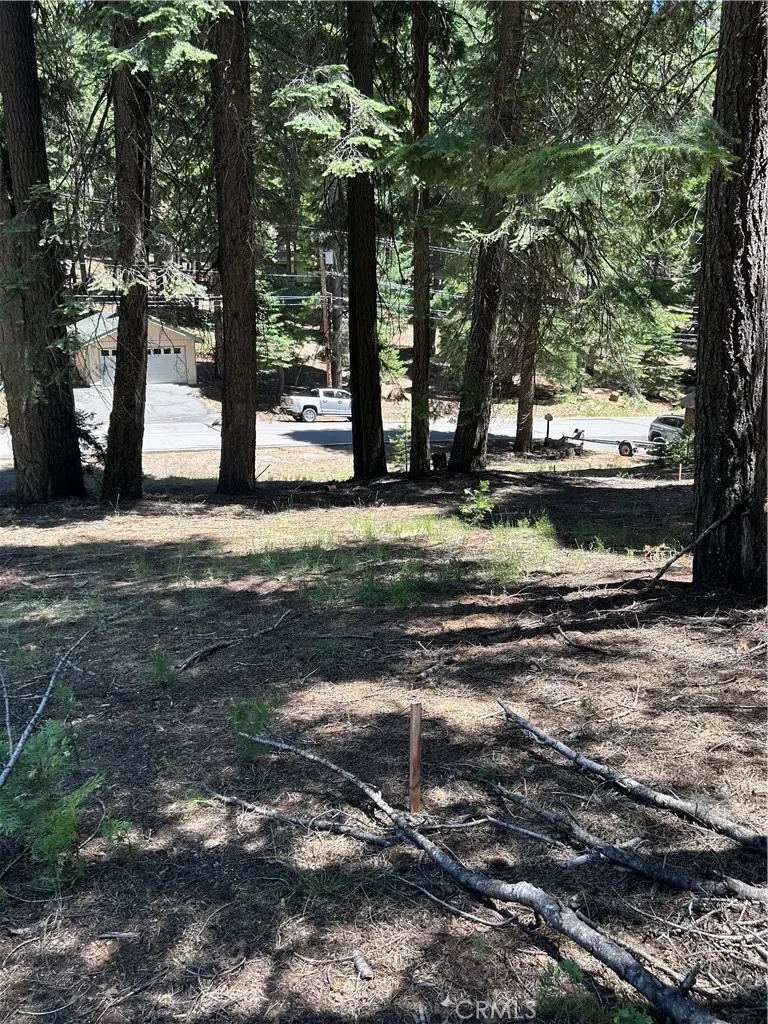 631 Cedar Canyon Road, Westwood, CA 96137 - Image #2