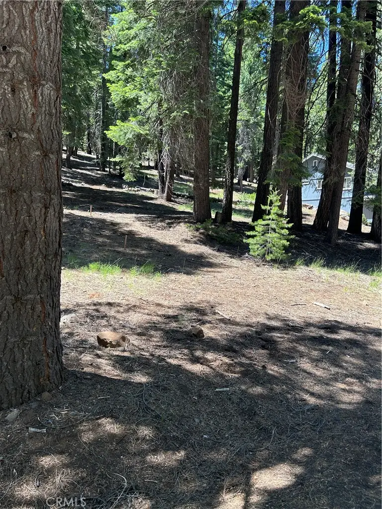 631 Cedar Canyon Road, Westwood, CA 96137 - Image #3