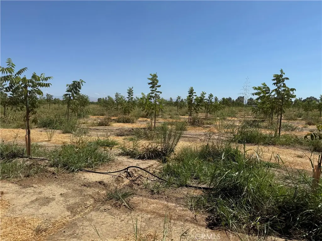 0 Mary Ave, Corning, CA 96021 - #1