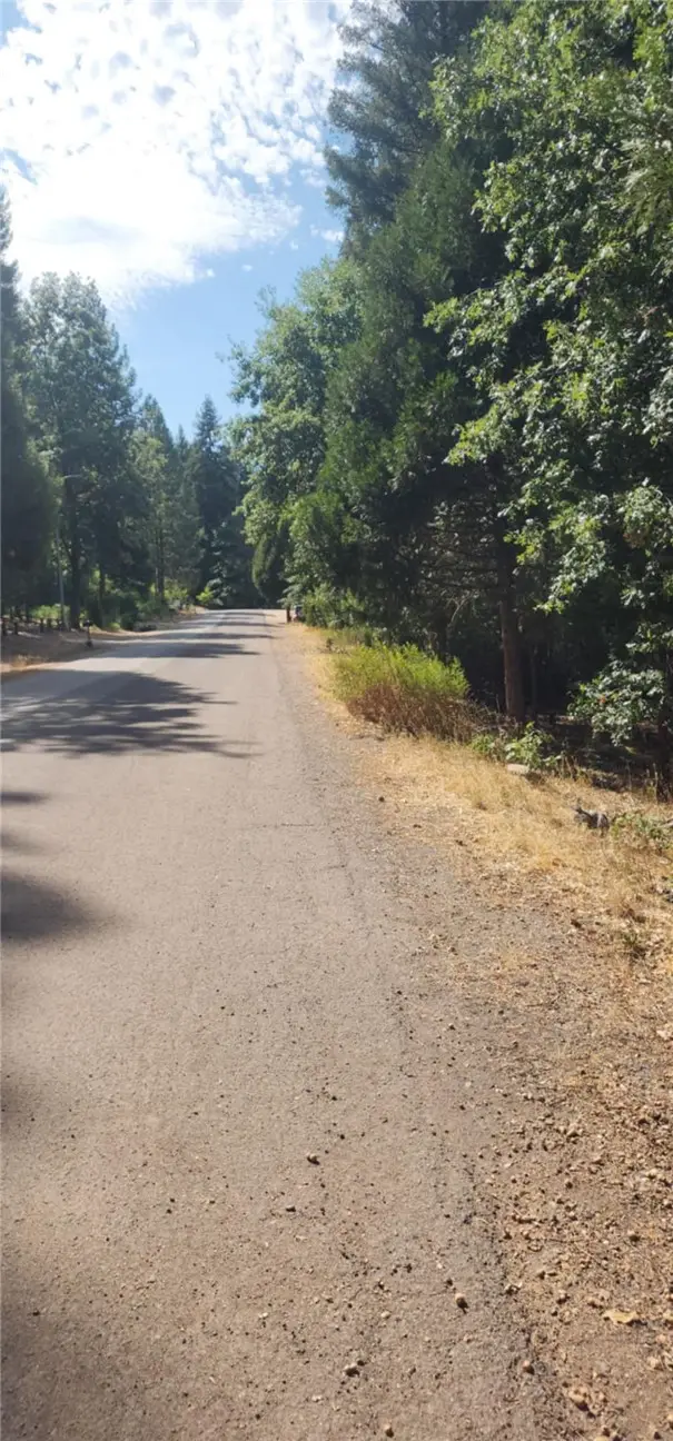 92 Dogwood Court, Quincy, CA 95971 - Image #1